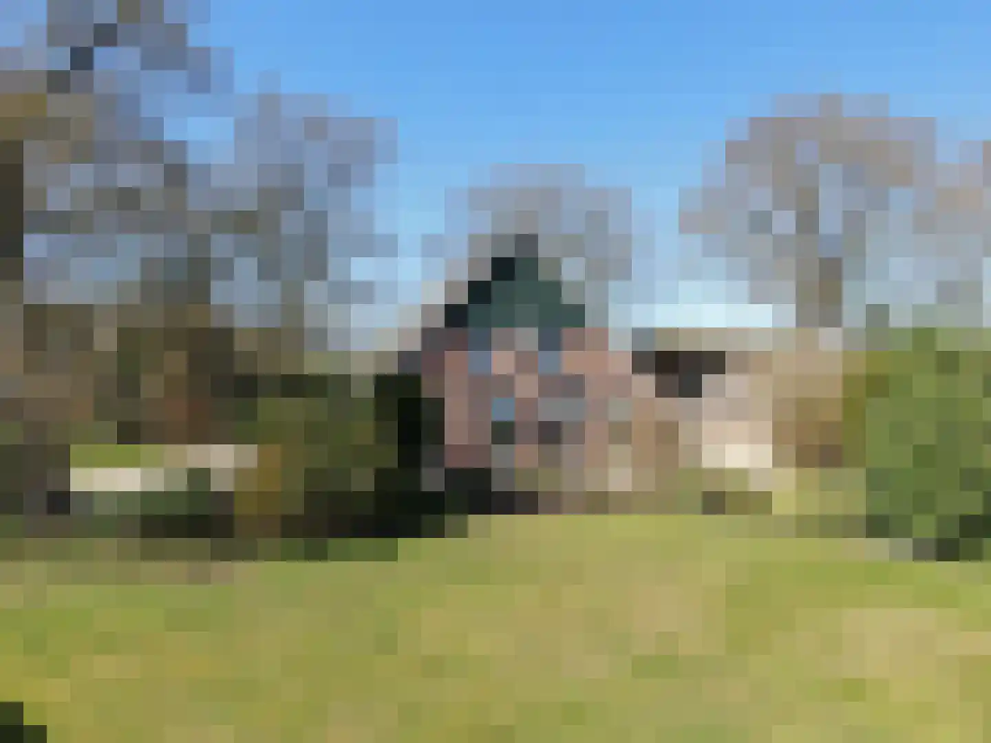 Krimweg 74 Coevorden thumbnail 8