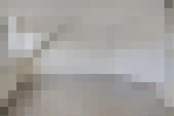 Kringdans 13 Capelle aan den IJssel thumbnail 13