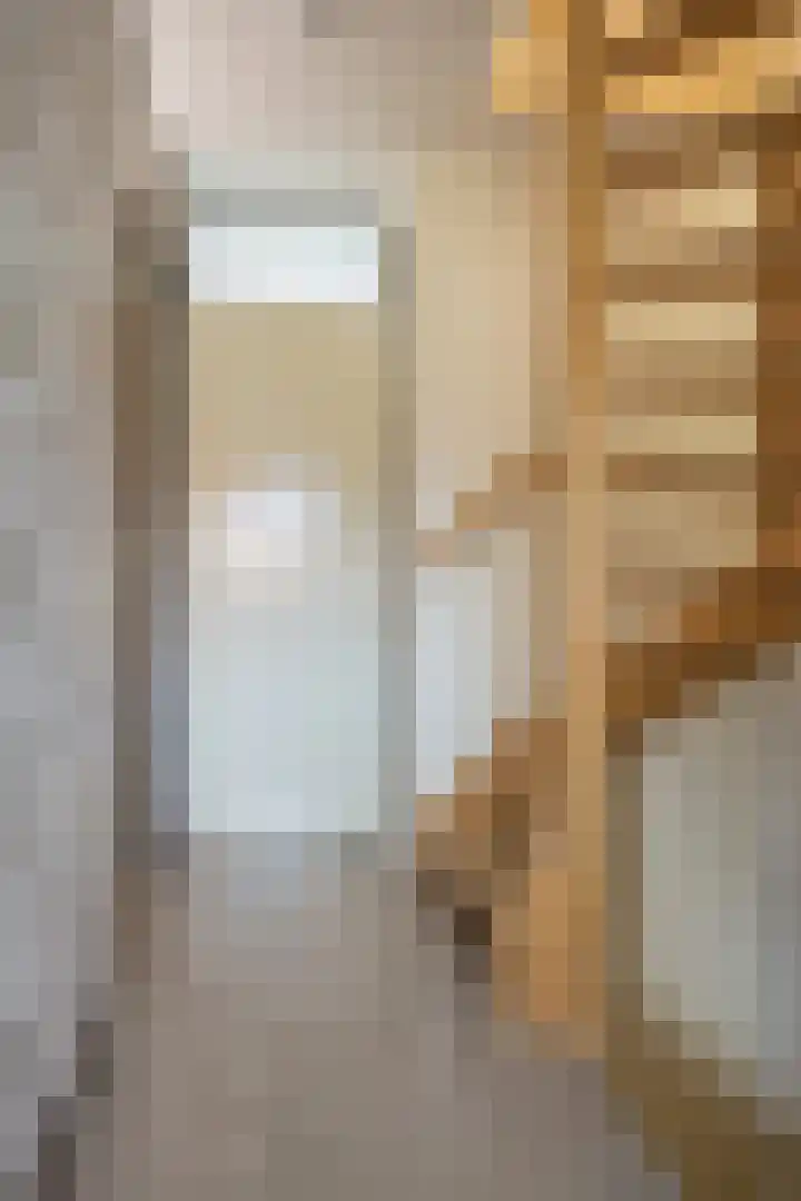 Kringdans 13 Capelle aan den IJssel thumbnail 17