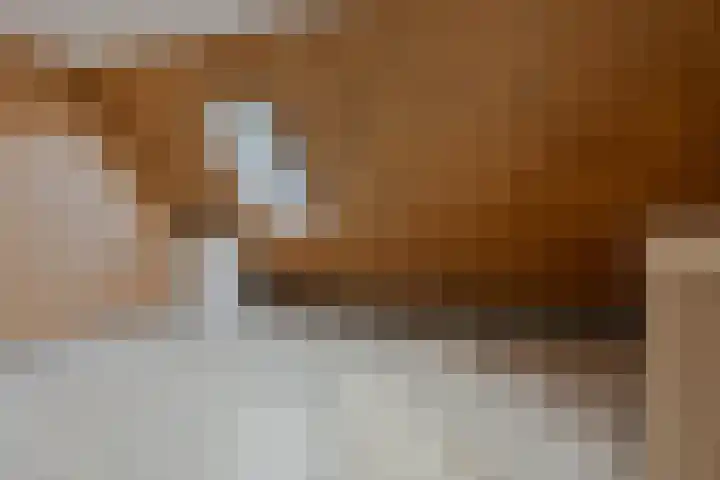 Kringdans 13 Capelle aan den IJssel thumbnail 18