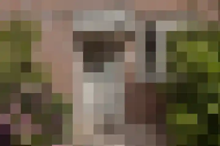 Kringdans 13 Capelle aan den IJssel thumbnail 23