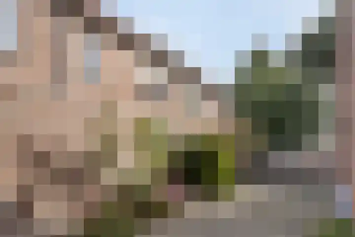 Kringdans 13 Capelle aan den IJssel thumbnail 24