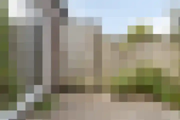 Kringdans 13 Capelle aan den IJssel thumbnail 4
