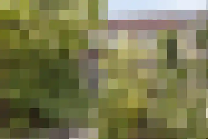 Kringdans 13 Capelle aan den IJssel thumbnail 7