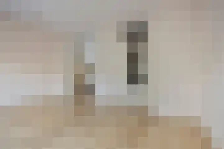 Kringdans 13 Capelle aan den IJssel thumbnail 8