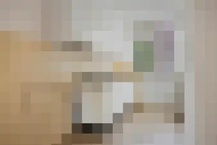 Kringdans 13 Capelle aan den IJssel thumbnail 9