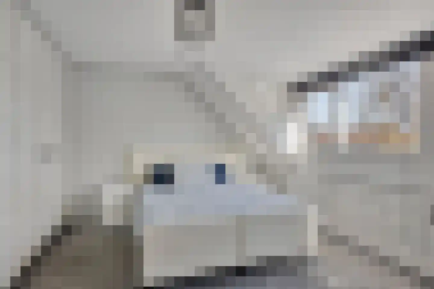 Kringdans 17 Capelle aan den IJssel thumbnail 15