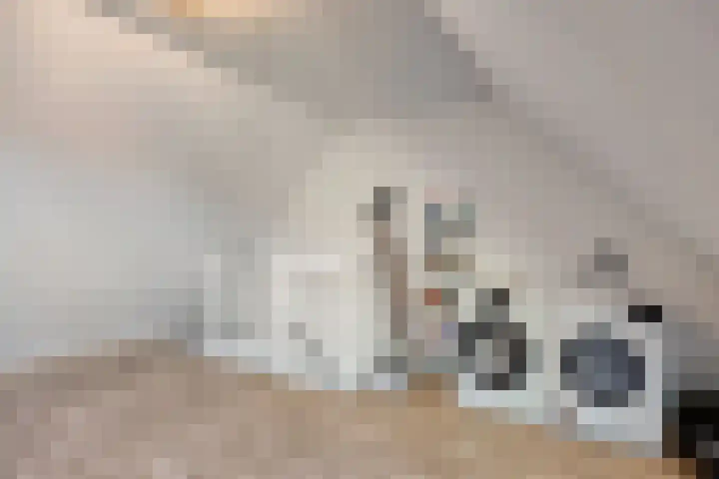 Kringdans 17 Capelle aan den IJssel thumbnail 21