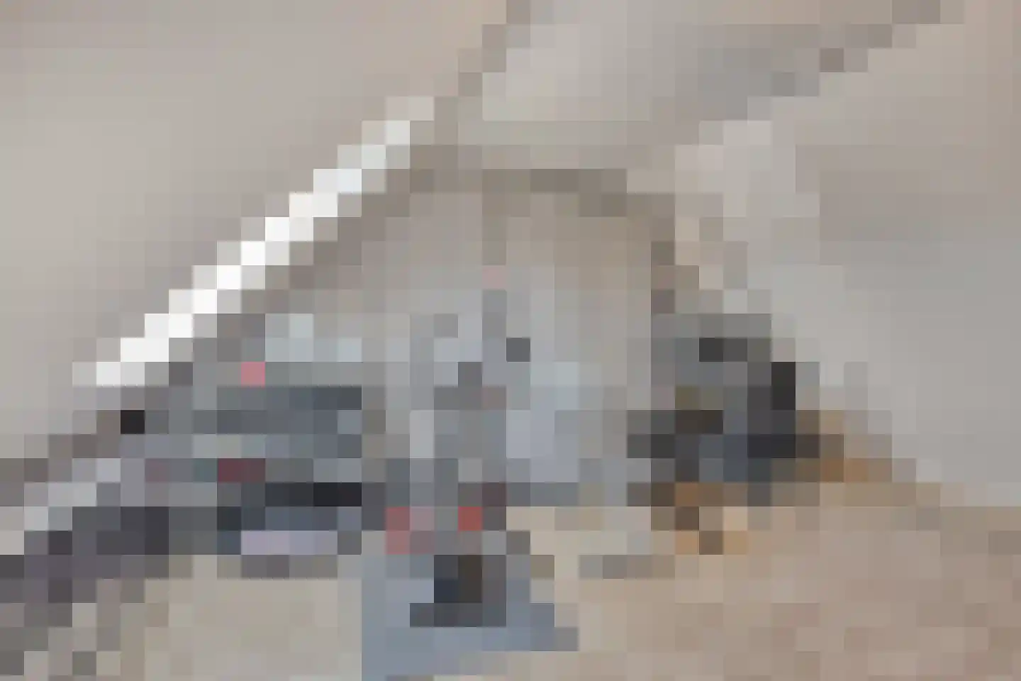 Kringdans 17 Capelle aan den IJssel thumbnail 22