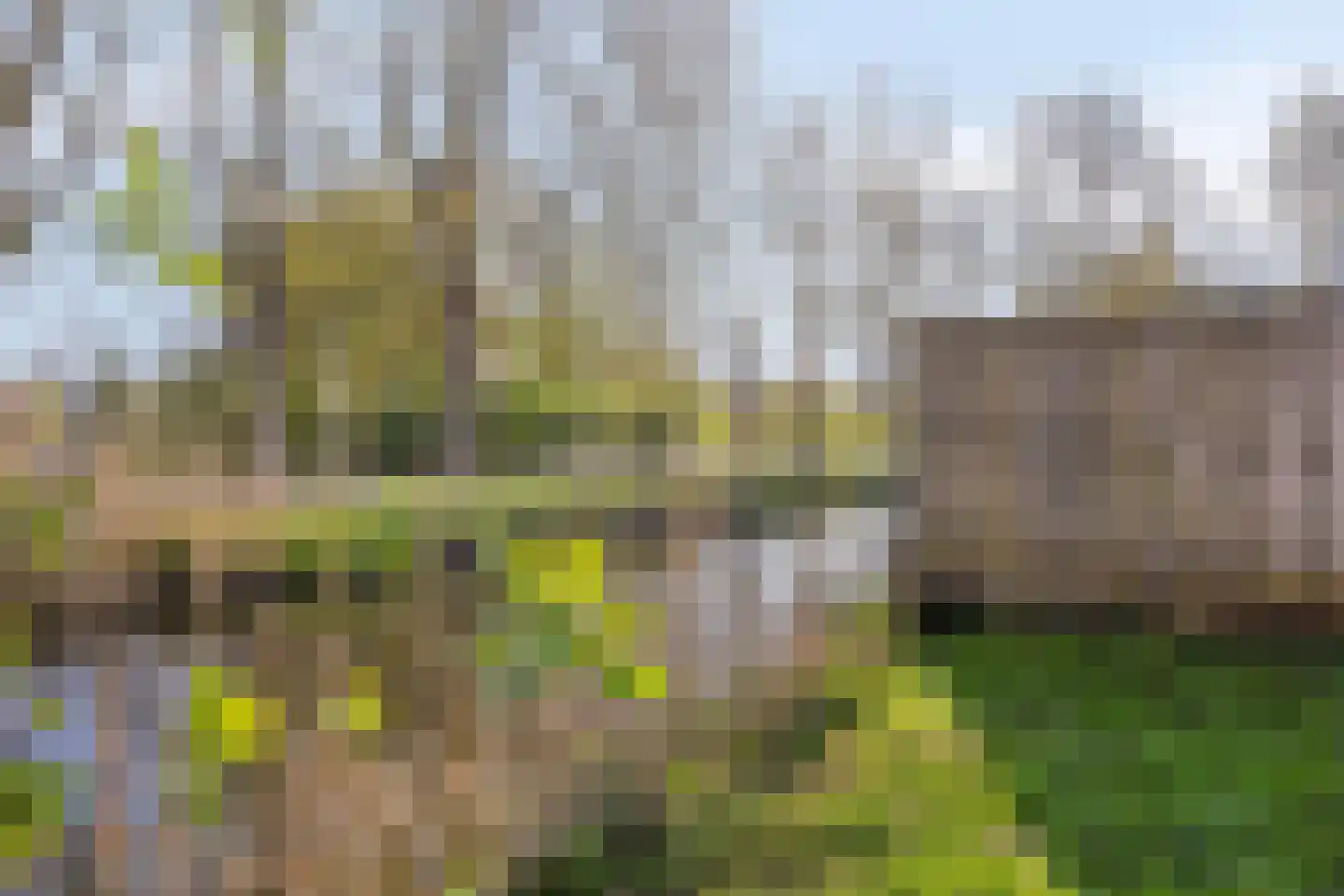 Kringdans 17 Capelle aan den IJssel thumbnail 25