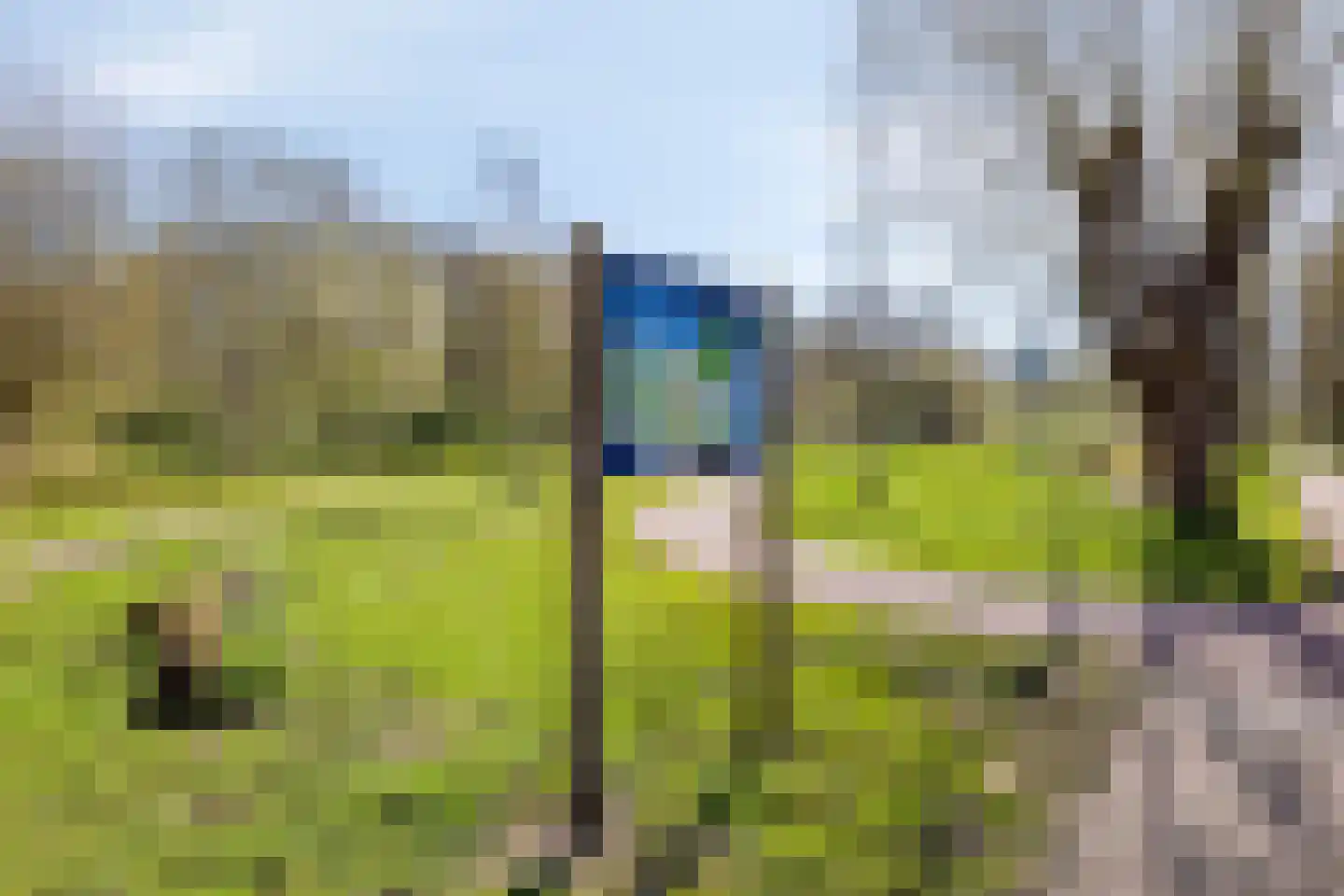 Kringdans 17 Capelle aan den IJssel thumbnail 27