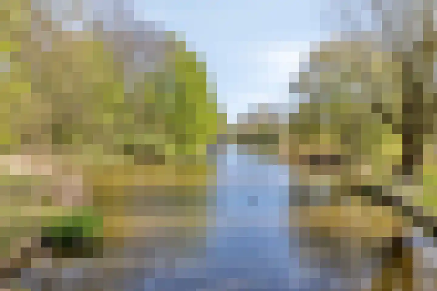 Kringdans 17 Capelle aan den IJssel thumbnail 28