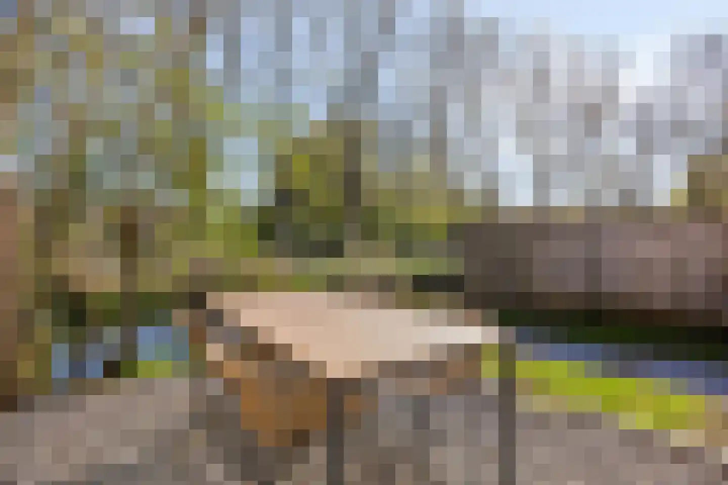Kringdans 17 Capelle aan den IJssel thumbnail 29