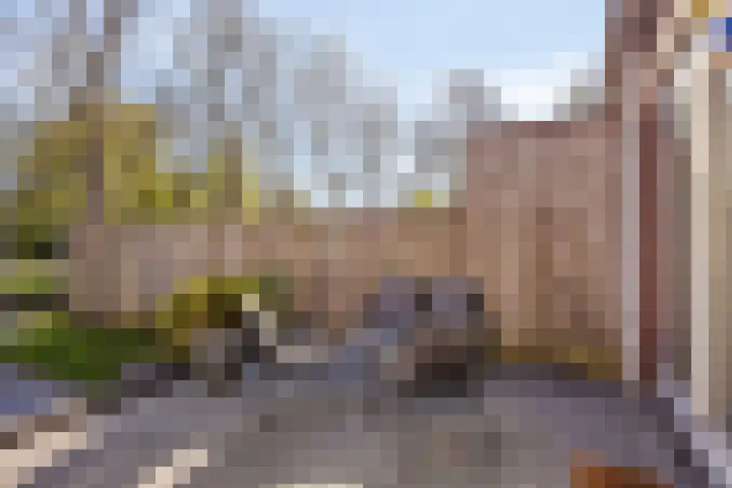 Kringdans 17 Capelle aan den IJssel thumbnail 30