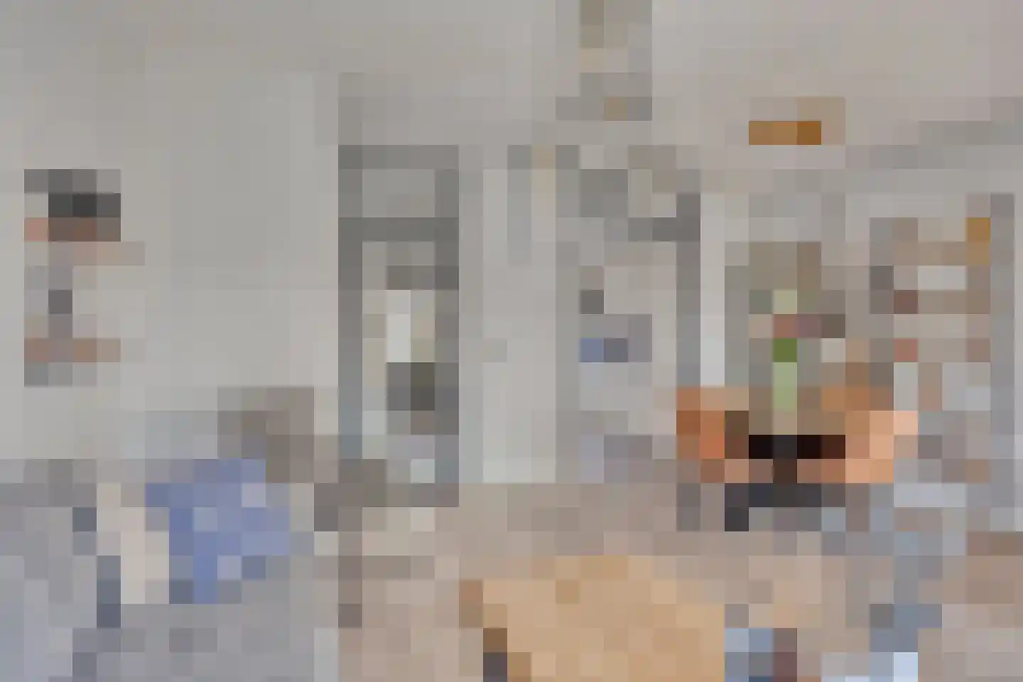 Kringdans 17 Capelle aan den IJssel thumbnail 4