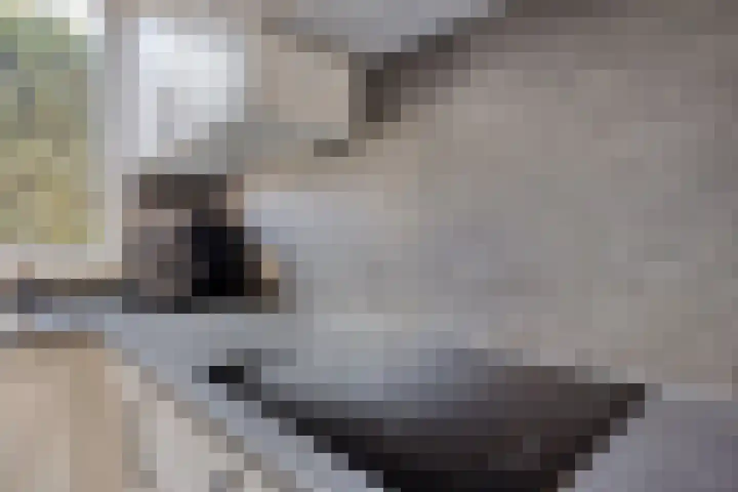 Kringdans 17 Capelle aan den IJssel thumbnail 8