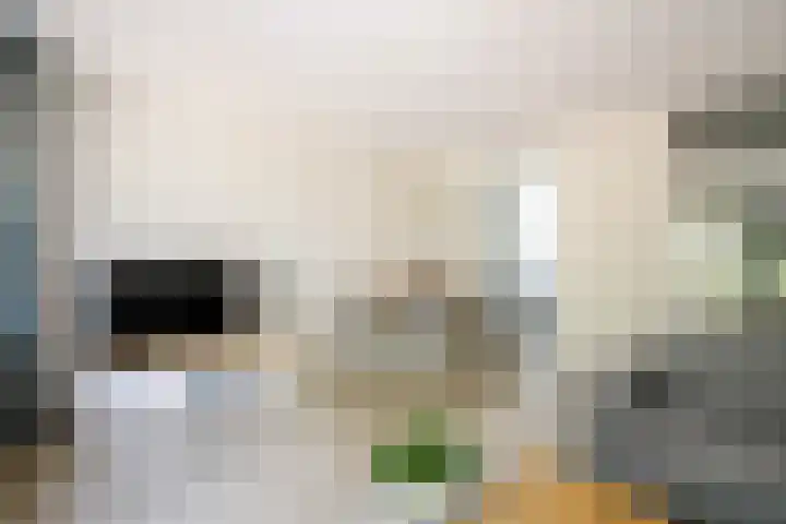 Kringdans 23 Capelle aan den IJssel thumbnail 13