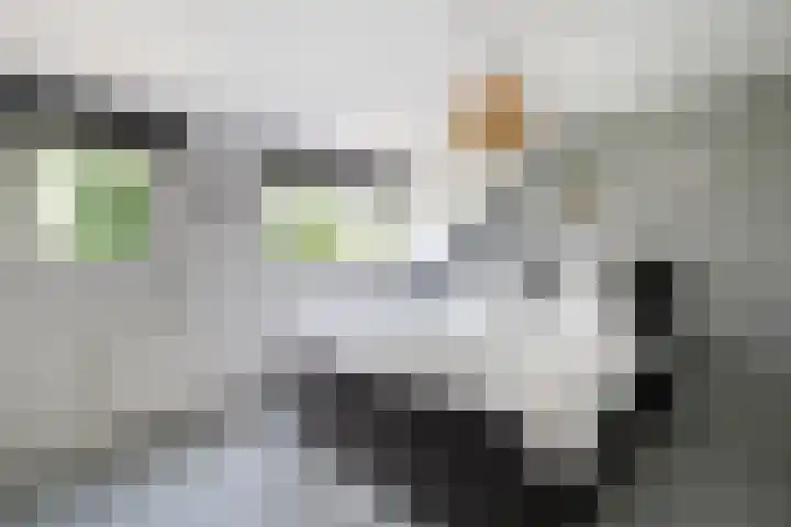 Kringdans 23 Capelle aan den IJssel thumbnail 18