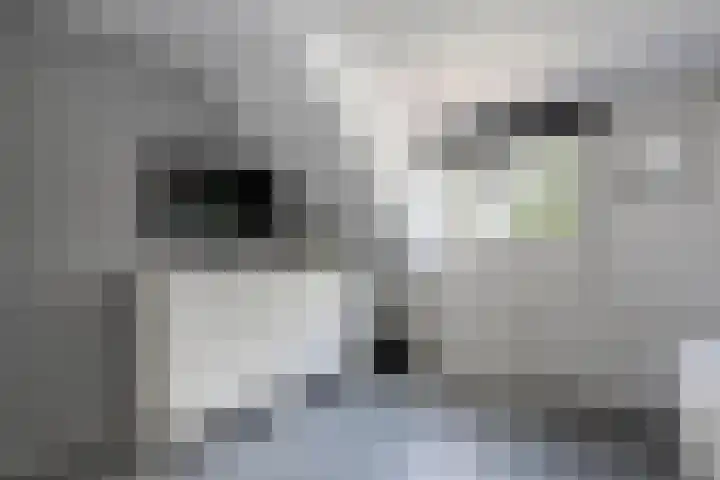 Kringdans 23 Capelle aan den IJssel thumbnail 20