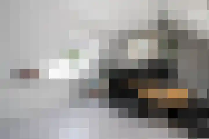 Kringdans 23 Capelle aan den IJssel thumbnail 26