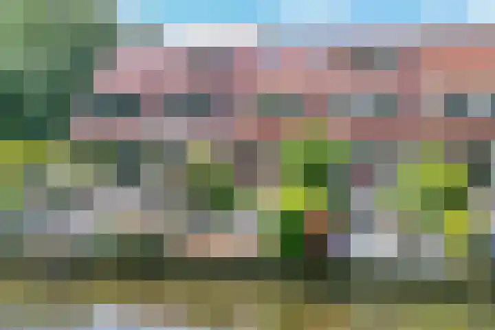 Kringdans 23 Capelle aan den IJssel thumbnail 28