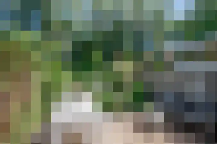 Kringdans 23 Capelle aan den IJssel thumbnail 30
