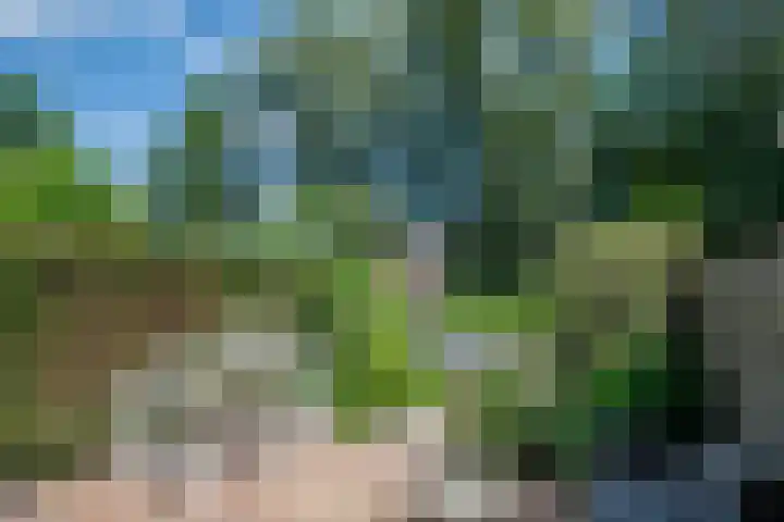 Kringdans 23 Capelle aan den IJssel thumbnail 31