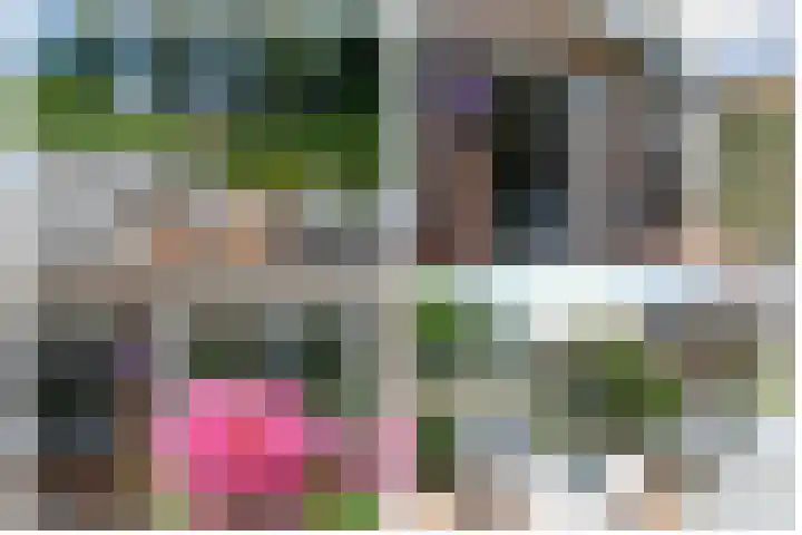 Kringdans 23 Capelle aan den IJssel thumbnail 32