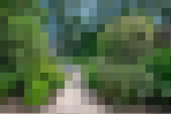 Kringdans 23 Capelle aan den IJssel thumbnail 33