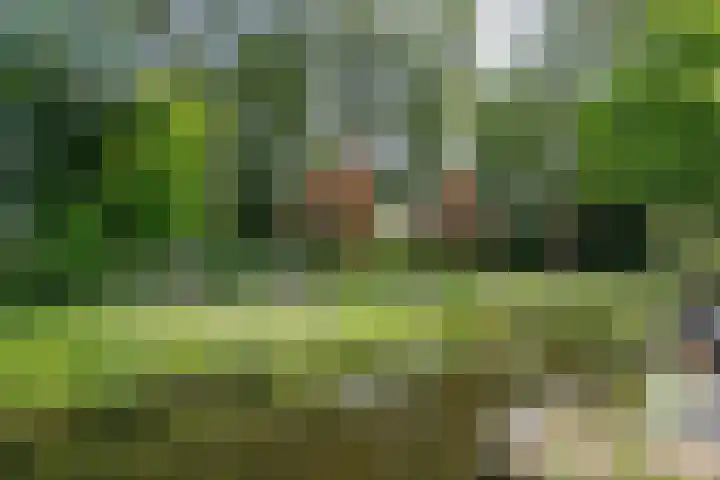 Kringdans 23 Capelle aan den IJssel thumbnail 34