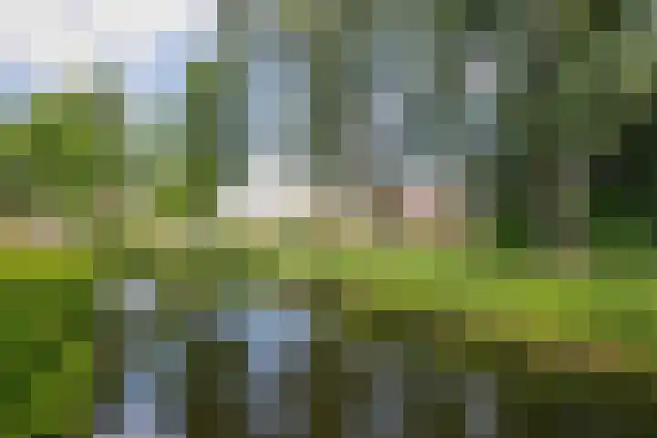 Kringdans 23 Capelle aan den IJssel thumbnail 35
