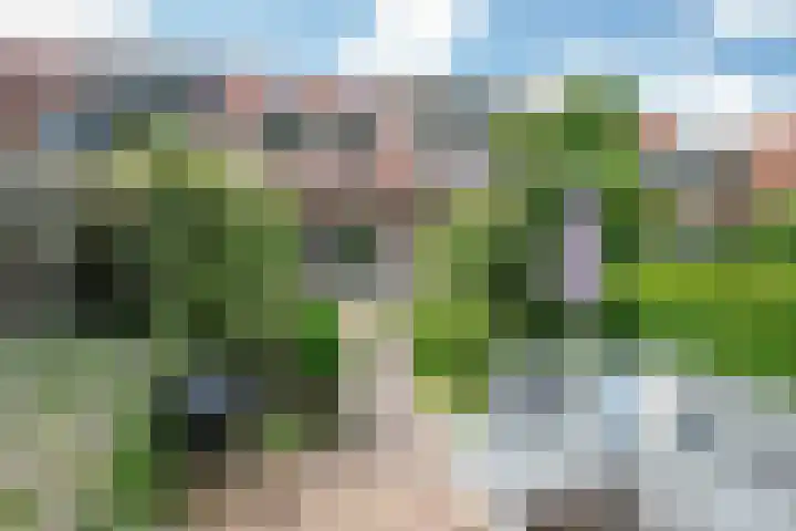 Kringdans 23 Capelle aan den IJssel thumbnail 36
