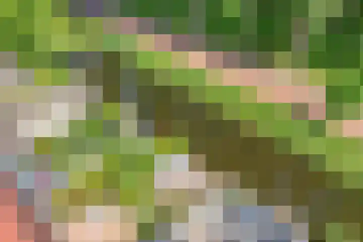 Kringdans 23 Capelle aan den IJssel thumbnail 37