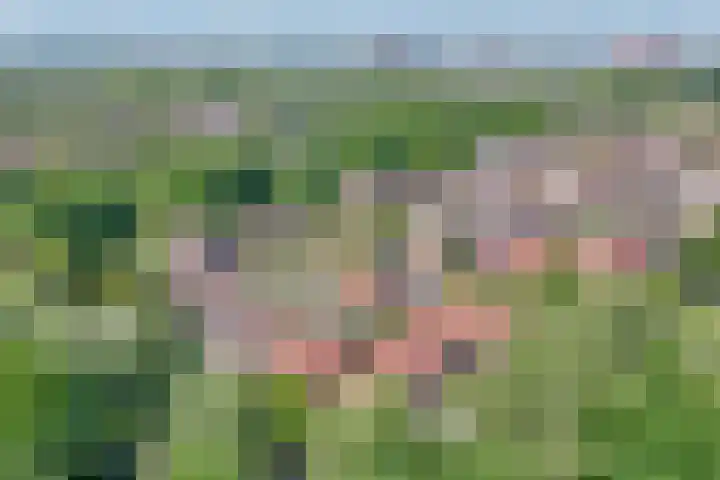Kringdans 23 Capelle aan den IJssel thumbnail 39