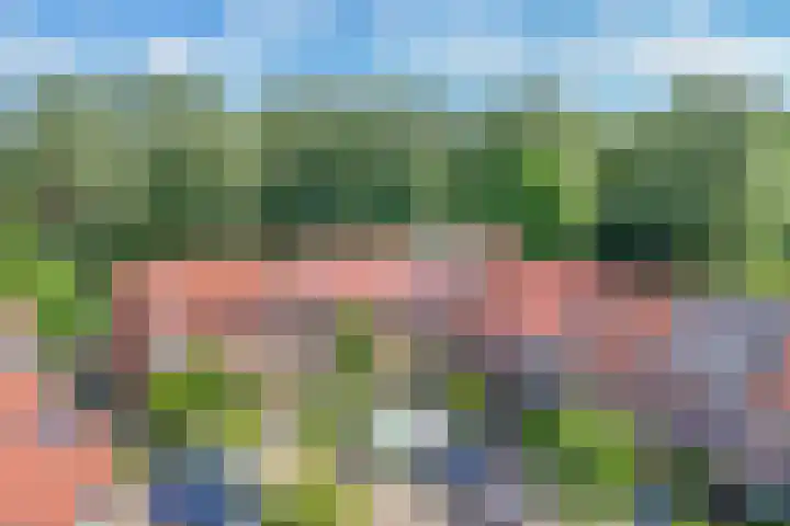 Kringdans 23 Capelle aan den IJssel thumbnail 4