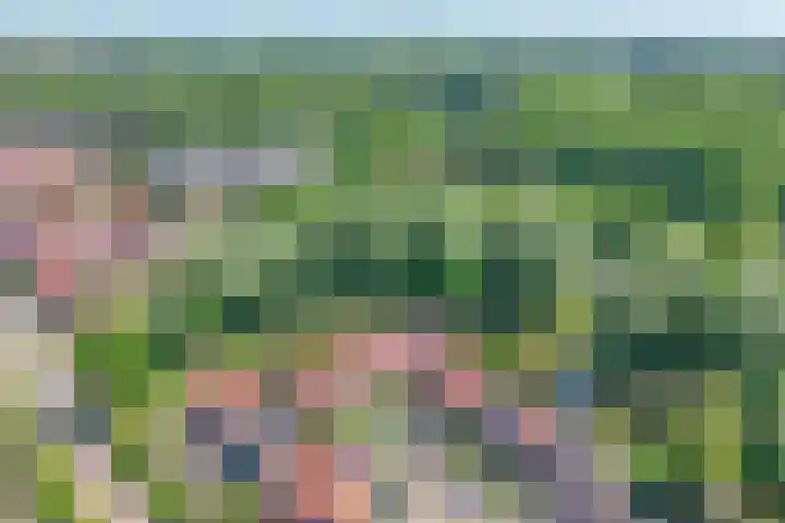 Kringdans 23 Capelle aan den IJssel thumbnail 40