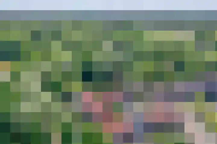 Kringdans 23 Capelle aan den IJssel thumbnail 41