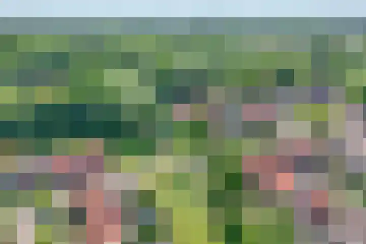 Kringdans 23 Capelle aan den IJssel thumbnail 42
