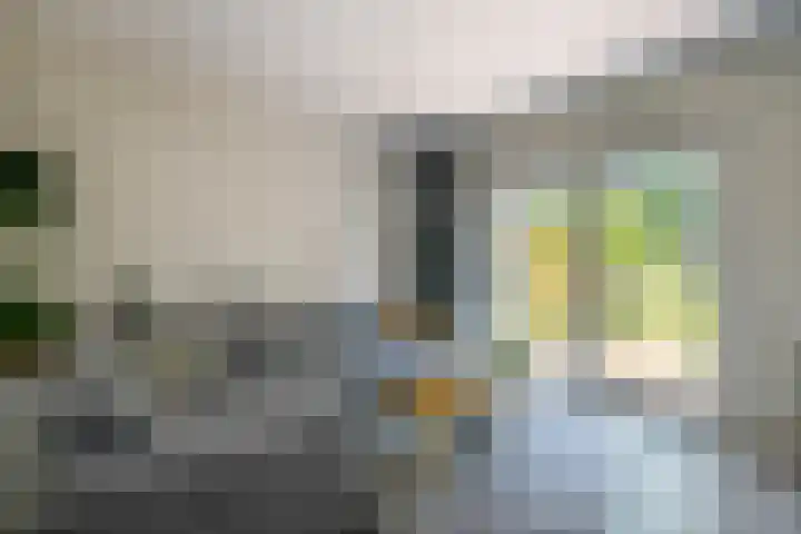 Kringdans 23 Capelle aan den IJssel thumbnail 9