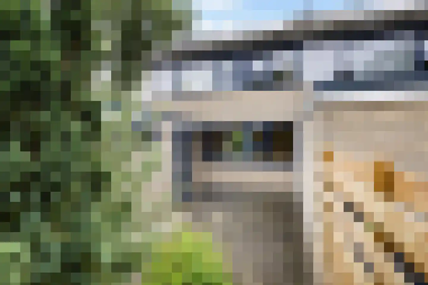Kringgreppelstraat 156 Oosterwolde thumbnail 13