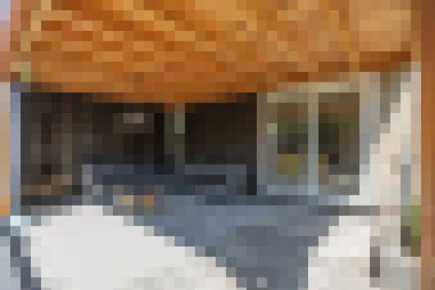 Kringgreppelstraat 77 Oosterwolde thumbnail 57