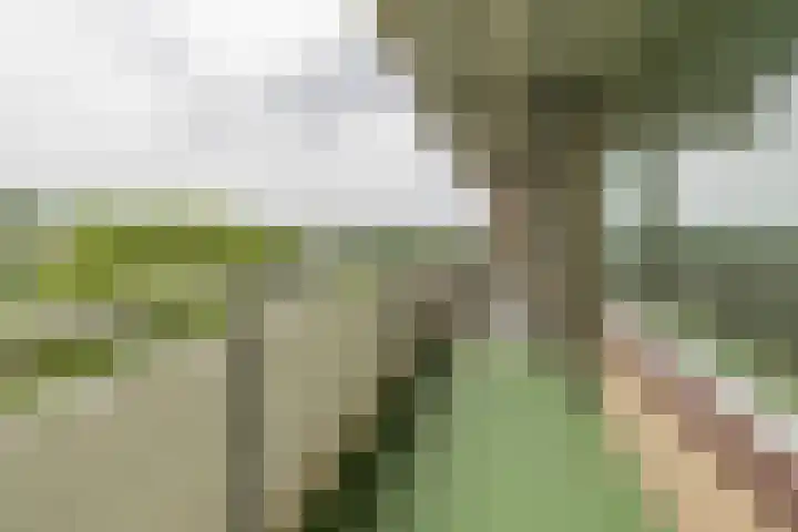 Kringloop 129 Amstelveen thumbnail 13