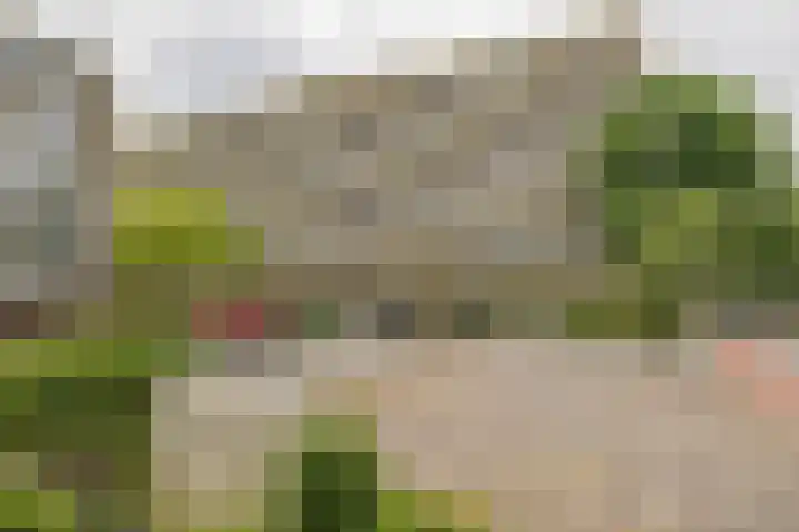 Kringloop 129 Amstelveen thumbnail 16