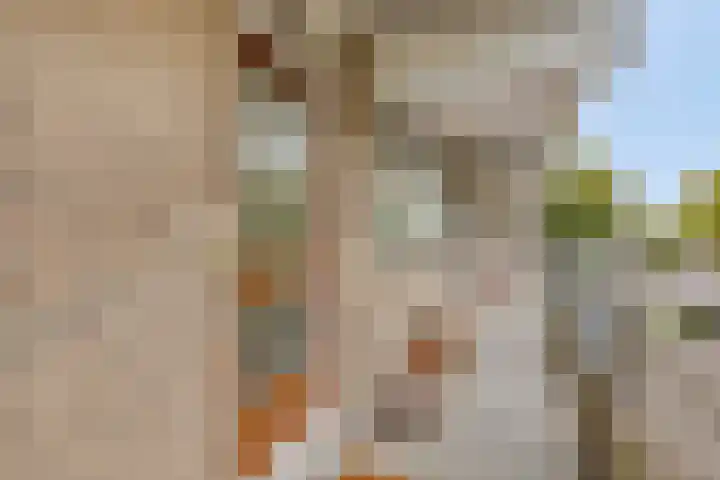 Kringloop 15 Amstelveen thumbnail 12