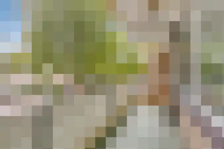 Kringloop 15 Amstelveen thumbnail 29