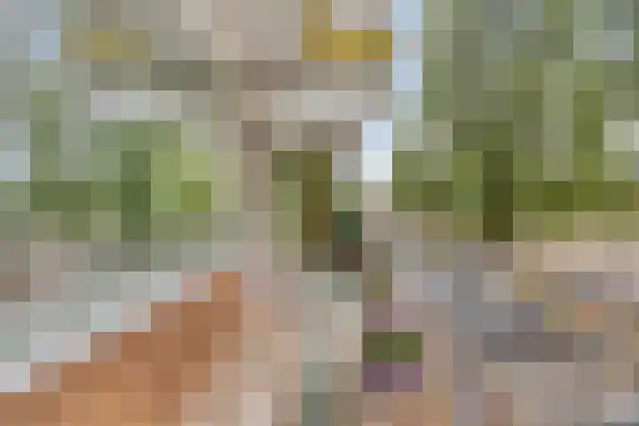 Kringloop 15 Amstelveen thumbnail 30