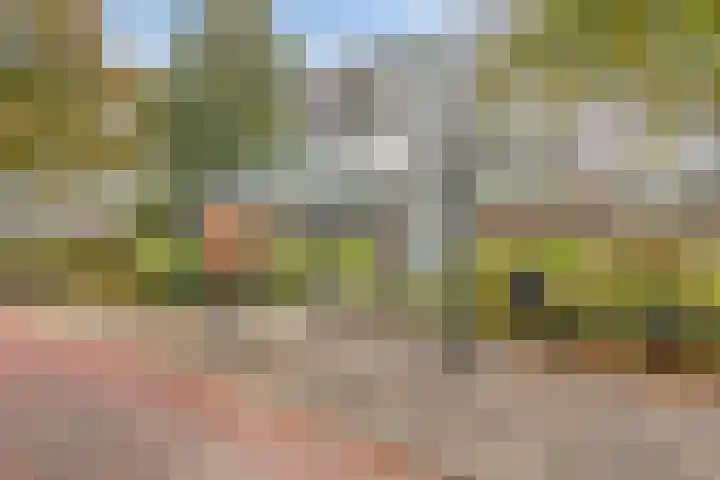 Kringloop 15 Amstelveen thumbnail 32