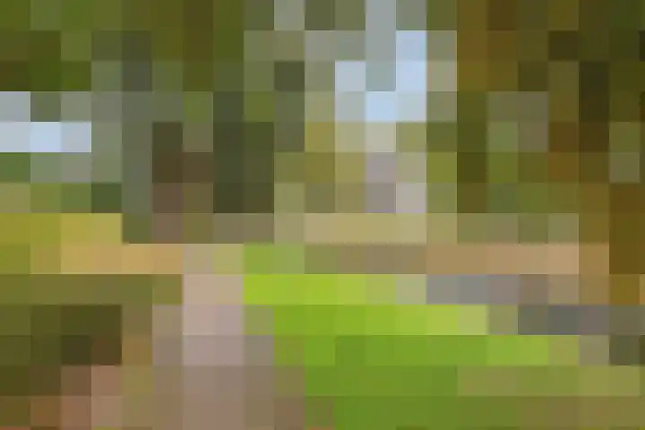 Kringloop 15 Amstelveen thumbnail 5