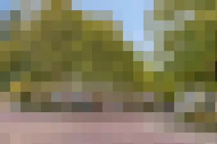 Kringloop 15 Amstelveen thumbnail 7
