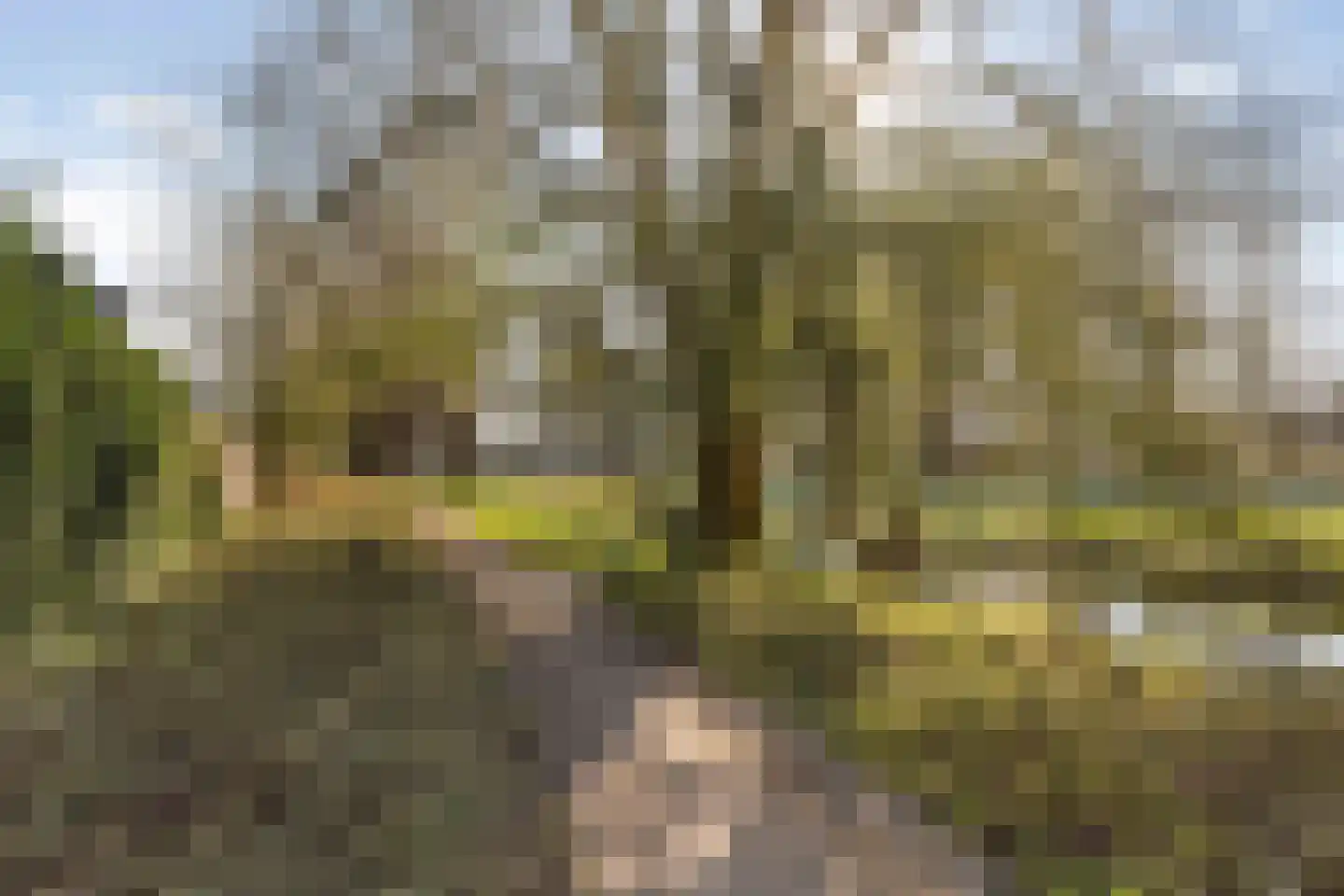 Kringloop 161 Amstelveen thumbnail 55